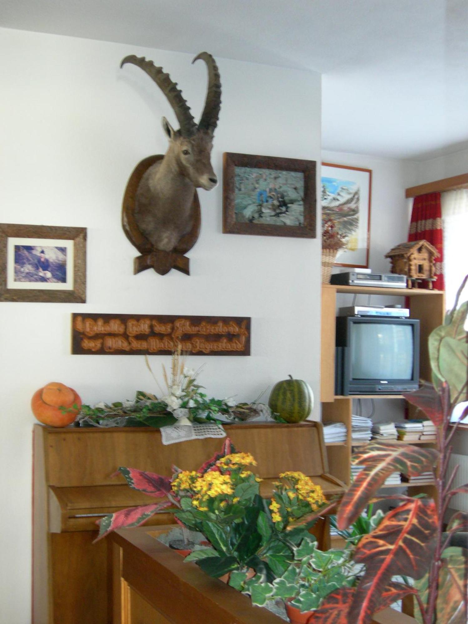 Hotel Adler Saas-Grund Εξωτερικό φωτογραφία